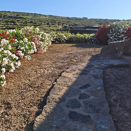 Guest house Dammusi Il Carrubo