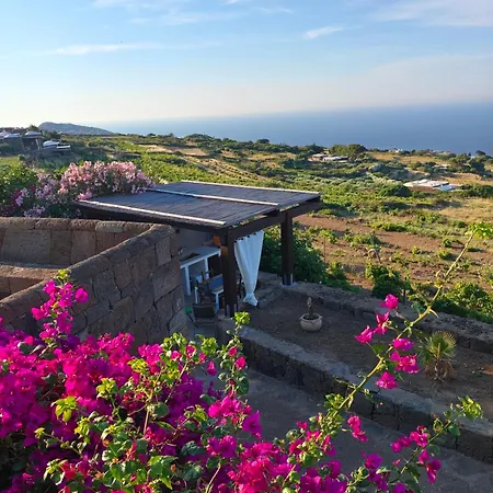Guest house Dammusi Il Carrubo