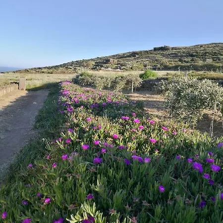 Dammusi Il Carrubo 3*